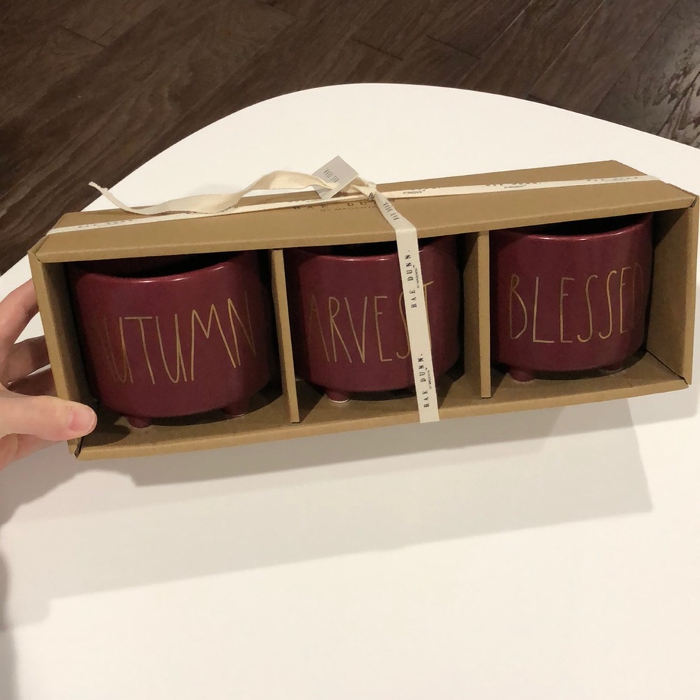 3 piece Rae Dunn Fall footed planters